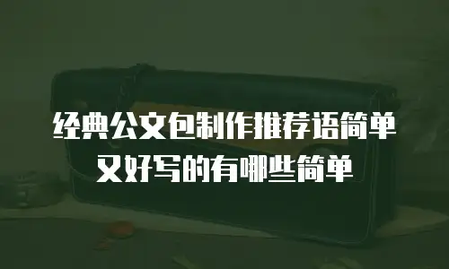 经典公文包制作推荐语简单又好写的有哪些简单