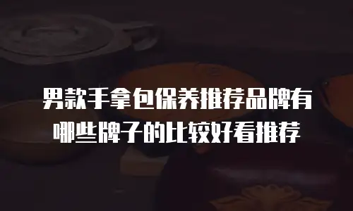 男款手拿包保养推荐品牌有哪些牌子的比较好看推荐