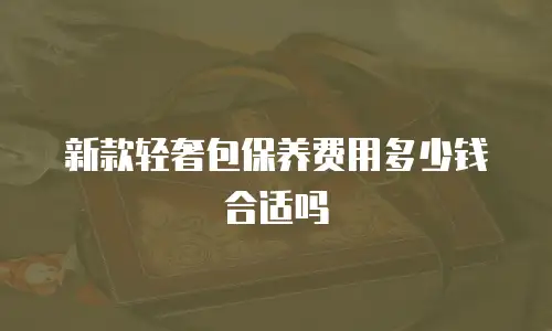 新款轻奢包保养费用多少钱合适吗