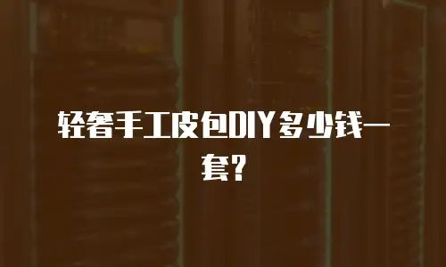 轻奢手工皮包DIY多少钱一套？
