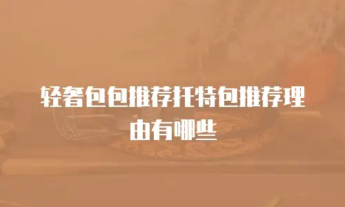 轻奢包包推荐托特包推荐理由有哪些
