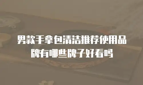 男款手拿包清洁推荐使用品牌有哪些牌子好看吗