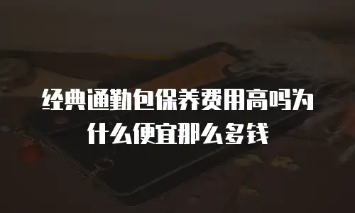 经典通勤包保养费用高吗为什么便宜那么多钱