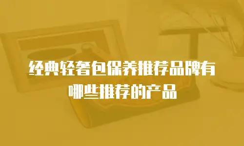 经典轻奢包保养推荐品牌有哪些推荐的产品