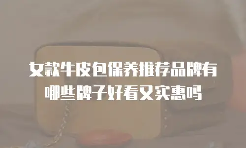 女款牛皮包保养推荐品牌有哪些牌子好看又实惠吗