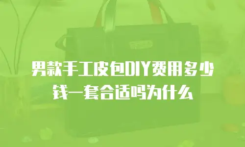 男款手工皮包DIY费用多少钱一套合适吗为什么