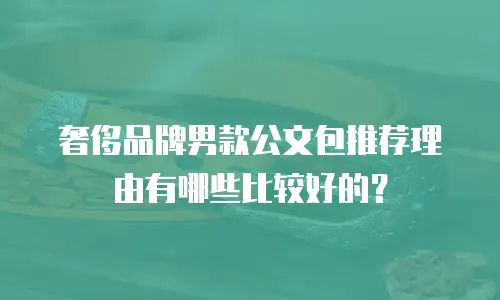 奢侈品牌男款公文包推荐理由有哪些比较好的？
