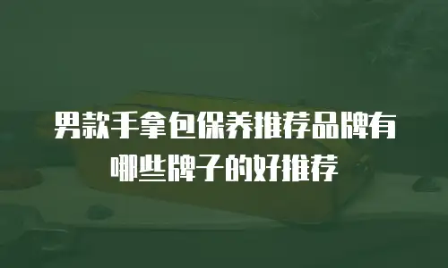 男款手拿包保养推荐品牌有哪些牌子的好推荐