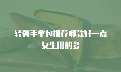 轻奢手拿包推荐哪款好一点女生用的多