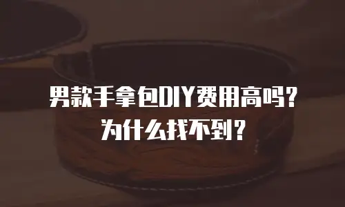 男款手拿包DIY费用高吗？为什么找不到？