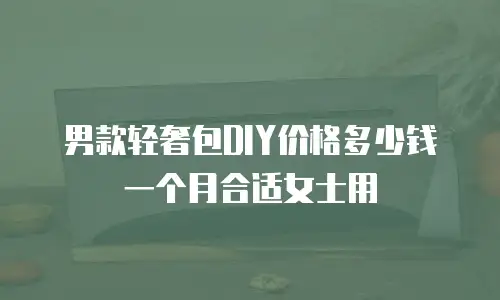 男款轻奢包DIY价格多少钱一个月合适女士用