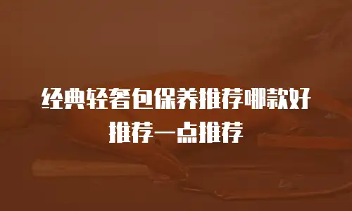 经典轻奢包保养推荐哪款好推荐一点推荐