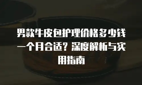 男款牛皮包护理价格多少钱一个月合适？深度解析与实用指南