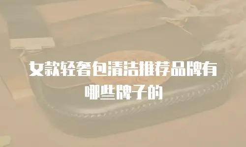 女款轻奢包清洁推荐品牌有哪些牌子的