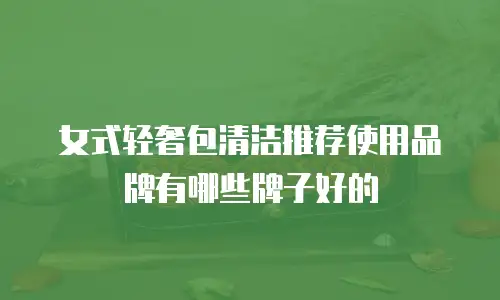 女式轻奢包清洁推荐使用品牌有哪些牌子好的