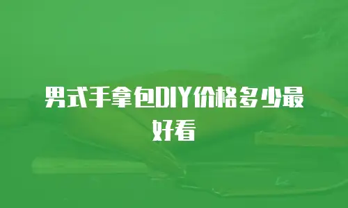 男式手拿包DIY价格多少最好看