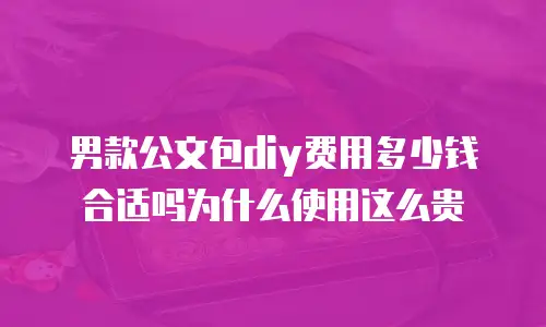男款公文包diy费用多少钱合适吗为什么使用这么贵