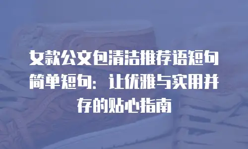 女款公文包清洁推荐语短句简单短句：让优雅与实用并存的贴心指南