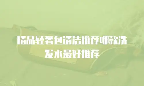 精品轻奢包清洁推荐哪款洗发水最好推荐