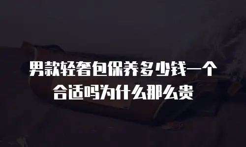男款轻奢包保养多少钱一个合适吗为什么那么贵