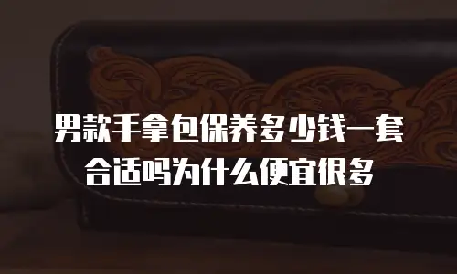 男款手拿包保养多少钱一套合适吗为什么便宜很多