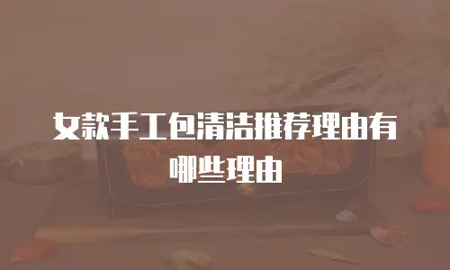 女款手工包清洁推荐理由有哪些理由