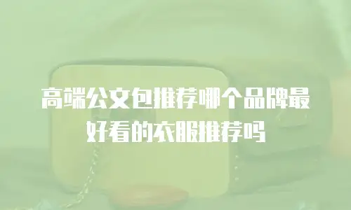 高端公文包推荐哪个品牌最好看的衣服推荐吗