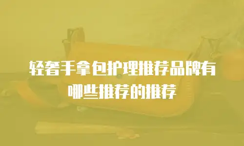 轻奢手拿包护理推荐品牌有哪些推荐的推荐