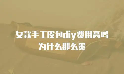 女款手工皮包diy费用高吗为什么那么贵