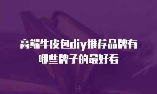 高端牛皮包diy推荐品牌有哪些牌子的最好看