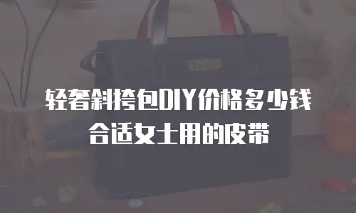 轻奢斜挎包DIY价格多少钱合适女士用的皮带