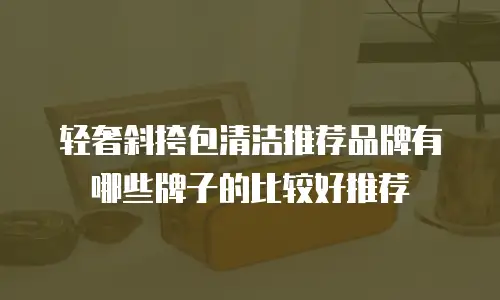 轻奢斜挎包清洁推荐品牌有哪些牌子的比较好推荐
