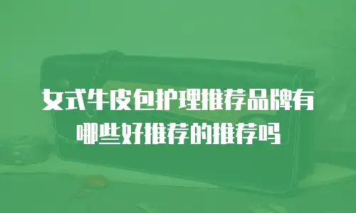 女式牛皮包护理推荐品牌有哪些好推荐的推荐吗