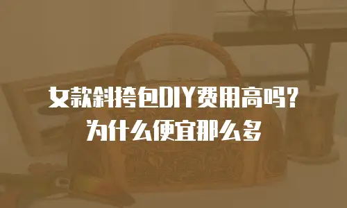 女款斜挎包DIY费用高吗？为什么便宜那么多