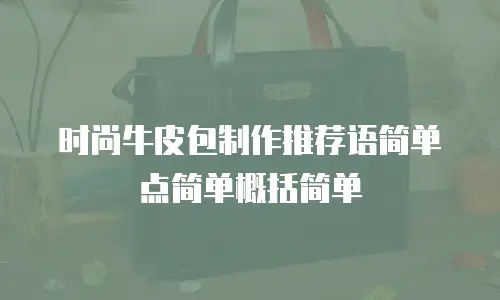 时尚牛皮包制作推荐语简单点简单概括简单