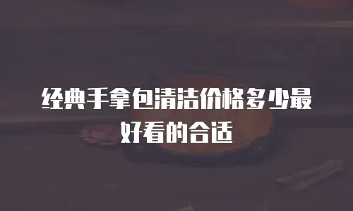 经典手拿包清洁价格多少最好看的合适