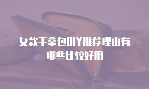 女款手拿包DIY推荐理由有哪些比较好用
