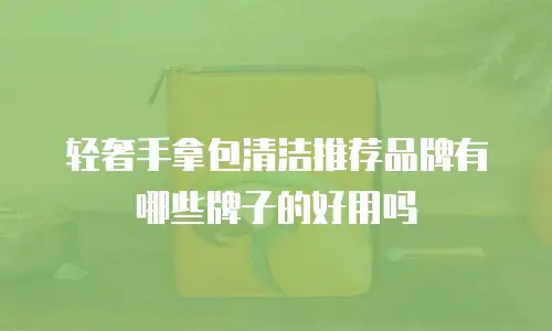 轻奢手拿包清洁推荐品牌有哪些牌子的好用吗