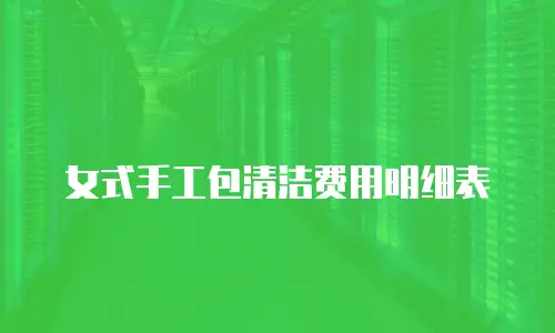 女式手工包清洁费用明细表