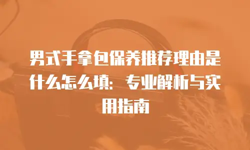 男式手拿包保养推荐理由是什么怎么填：专业解析与实用指南