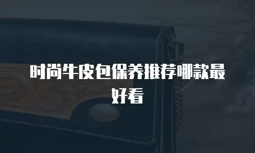 时尚牛皮包保养推荐哪款最好看