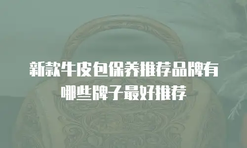 新款牛皮包保养推荐品牌有哪些牌子最好推荐