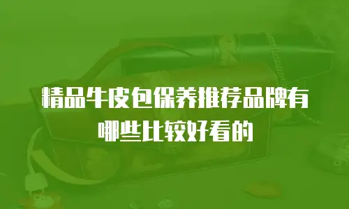 精品牛皮包保养推荐品牌有哪些比较好看的