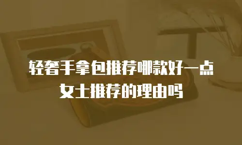 轻奢手拿包推荐哪款好一点女士推荐的理由吗