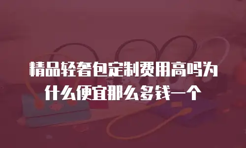 精品轻奢包定制费用高吗为什么便宜那么多钱一个
