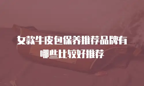 女款牛皮包保养推荐品牌有哪些比较好推荐