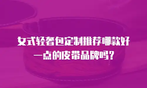 女式轻奢包定制推荐哪款好一点的皮带品牌吗？