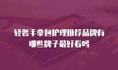 轻奢手拿包护理推荐品牌有哪些牌子最好看吗