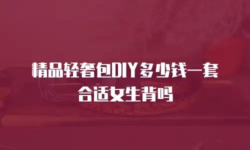 精品轻奢包DIY多少钱一套合适女生背吗