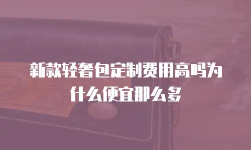 新款轻奢包定制费用高吗为什么便宜那么多